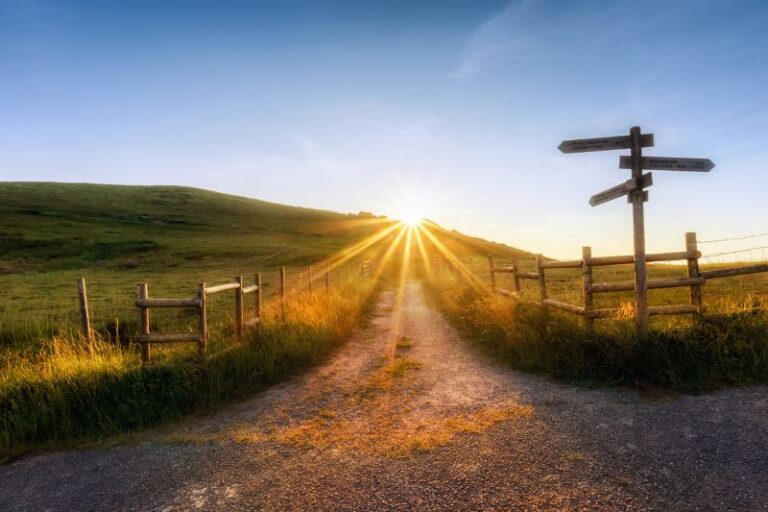 Ein Weg mit Blick auf den Gipfel in der Abendsonne.