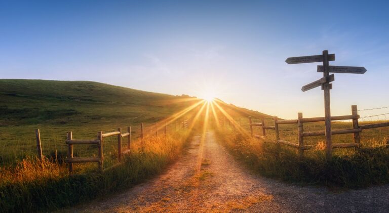 Ein Weg mit Blick auf den Gipfel in der Abendsonne.